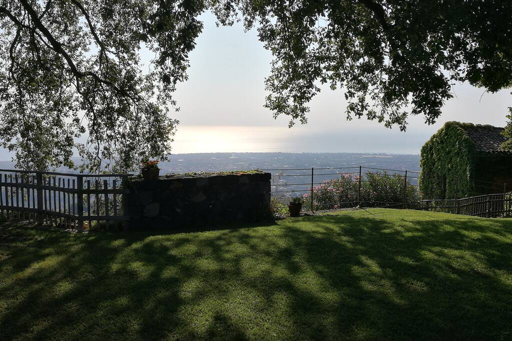 Giardino