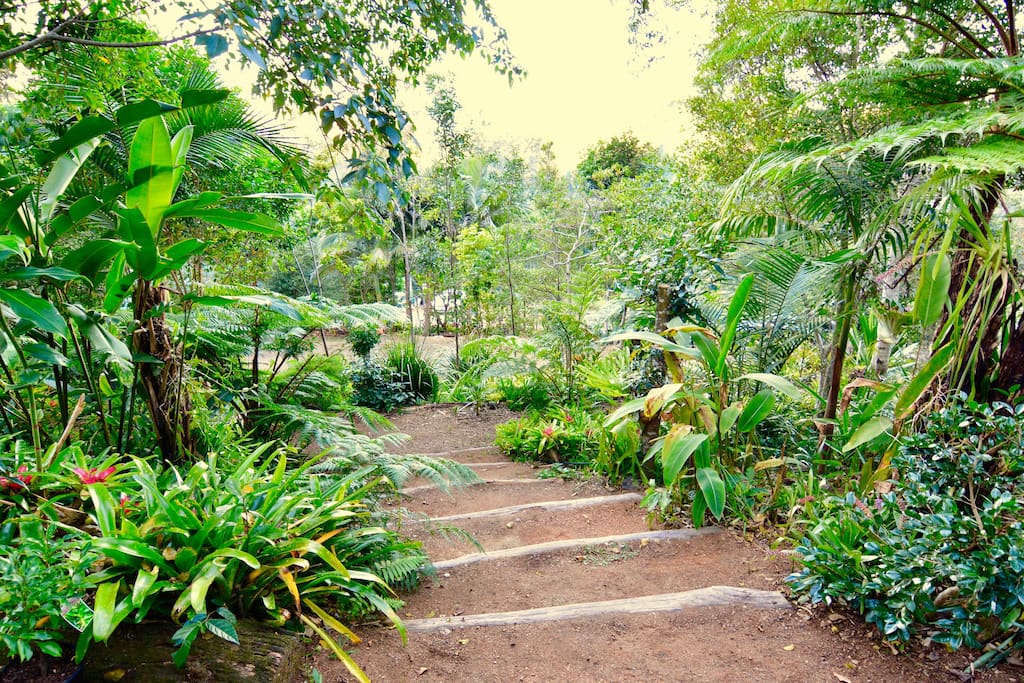 situated in rainforest gardens