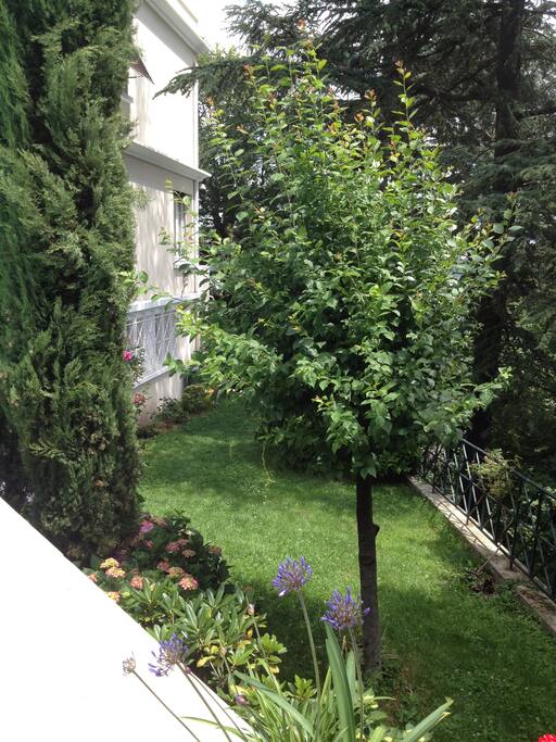 Accès studio en rez de jardin