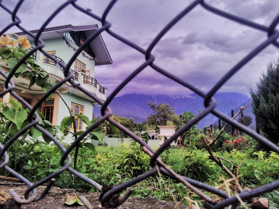 The House