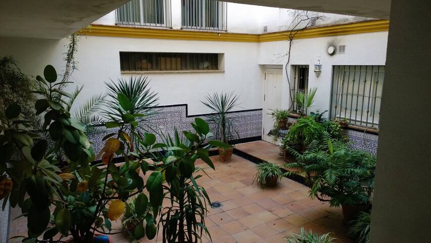 Acogedor apartamento en el centro.