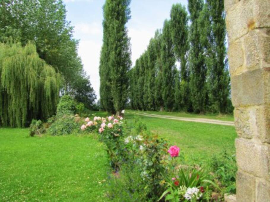 Allée d'entrée