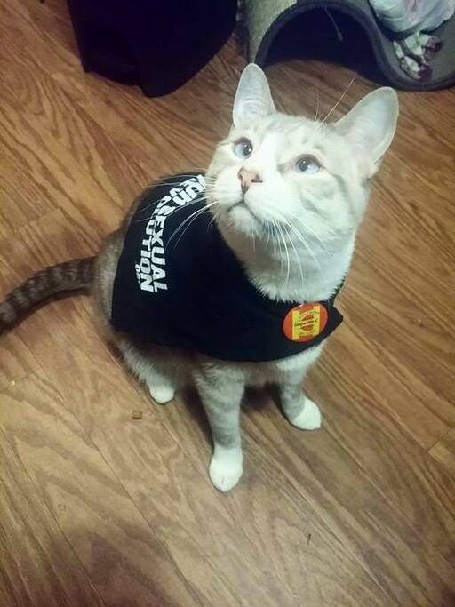 He is the true king of the house.