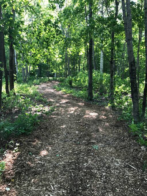 The path from the house to the cabin is about 50 feet long. Flashlights are recommended after dark.