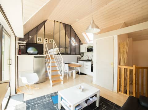 Top performing Airbnb: Beautiful duplex, stunning sea view. in Carantec