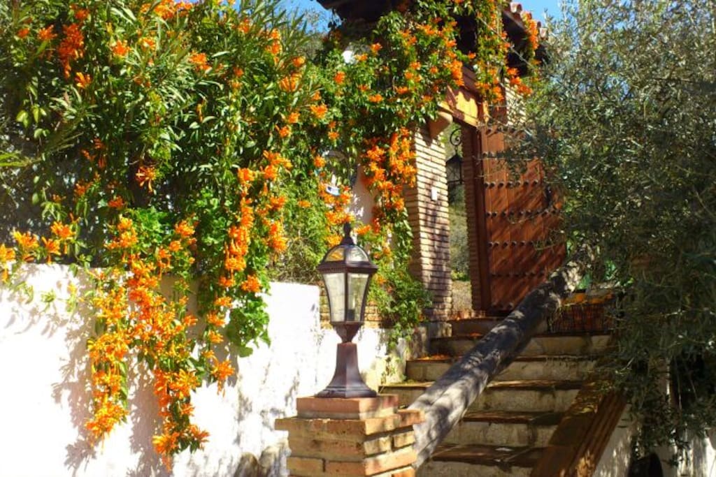 Entrada de la casa. Consta de una gran terraza y barbacoa