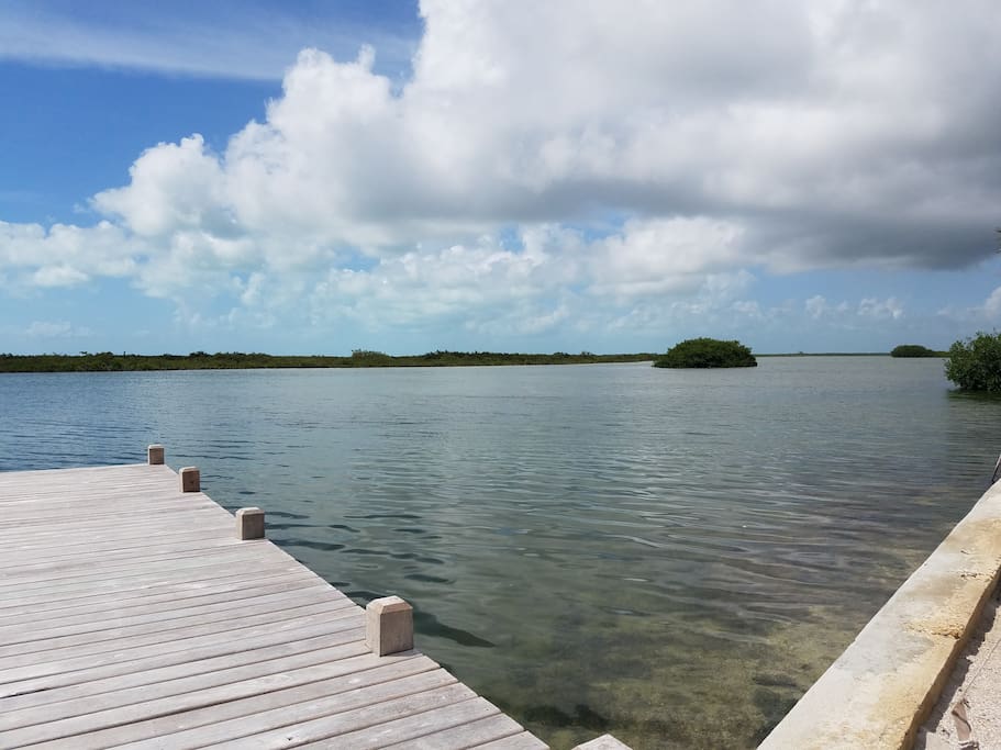 Kayak and fish off the dock to your hearts content! snapper, barracuda, you name it! (no swimming off dock)