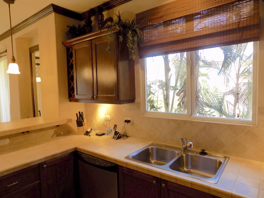 Kitchen with a view