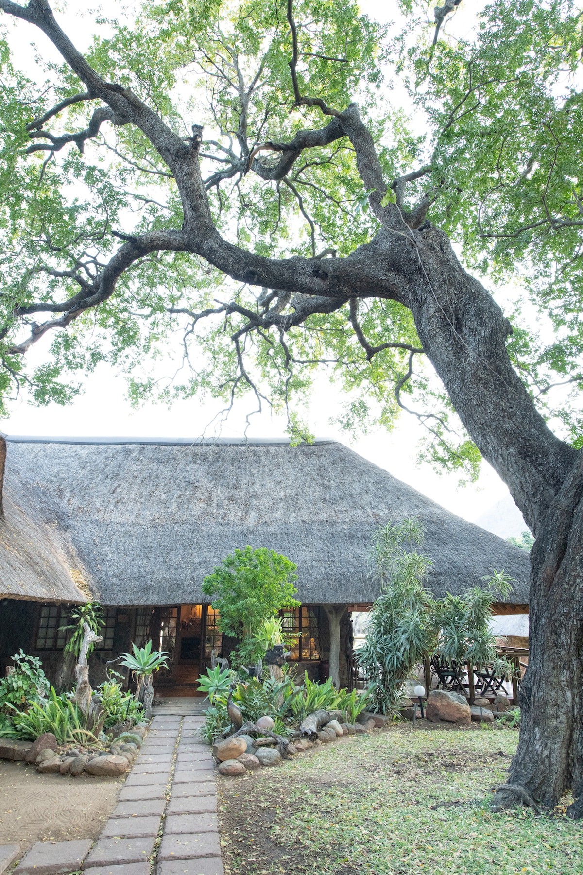 A thatched-roof lodge is visible, surrounded by lush greenery and mature trees. A stone pathway leads to the entrance, flanked by various plants and rocks, creating a natural atmosphere. The structure is built with traditional materials, evoking a warm and welcoming appearance.