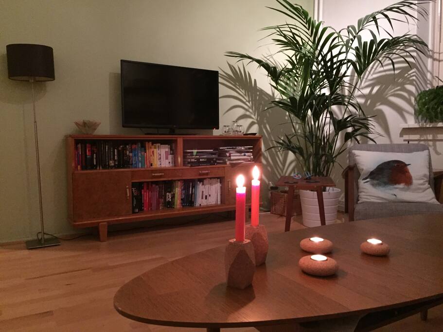 Living room with TV