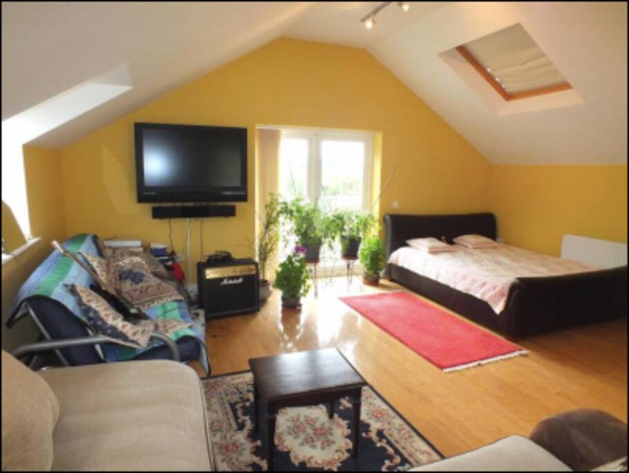 Studio - Living/Bedroom