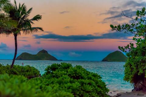 Lanikai Plumeria Beach Cottage (Close to beach!)