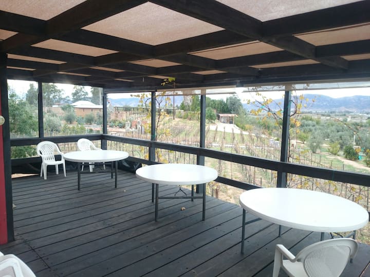 Terraza מעל הכרם