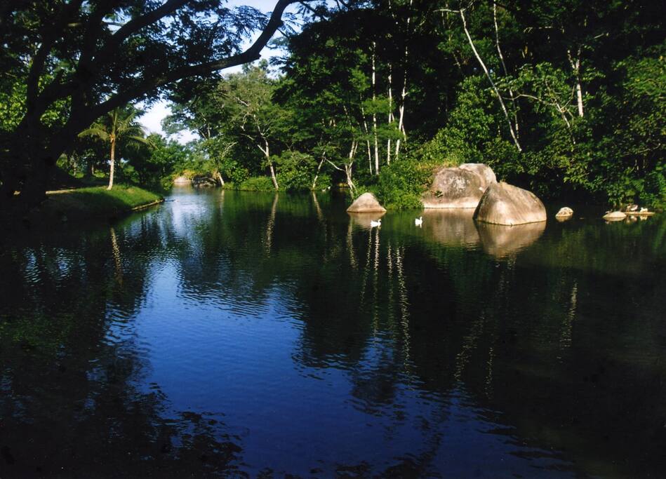 Lago