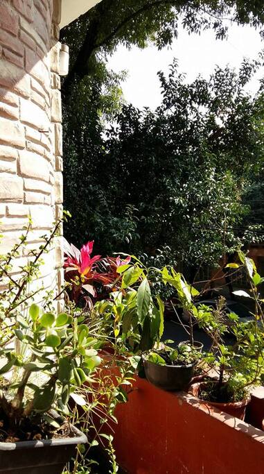 Terraza con plantas, muy agradable.