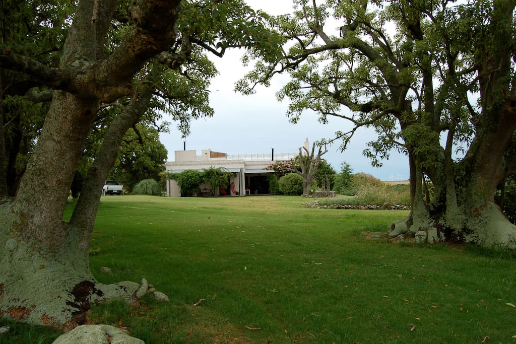 Back of the house on the way to pool