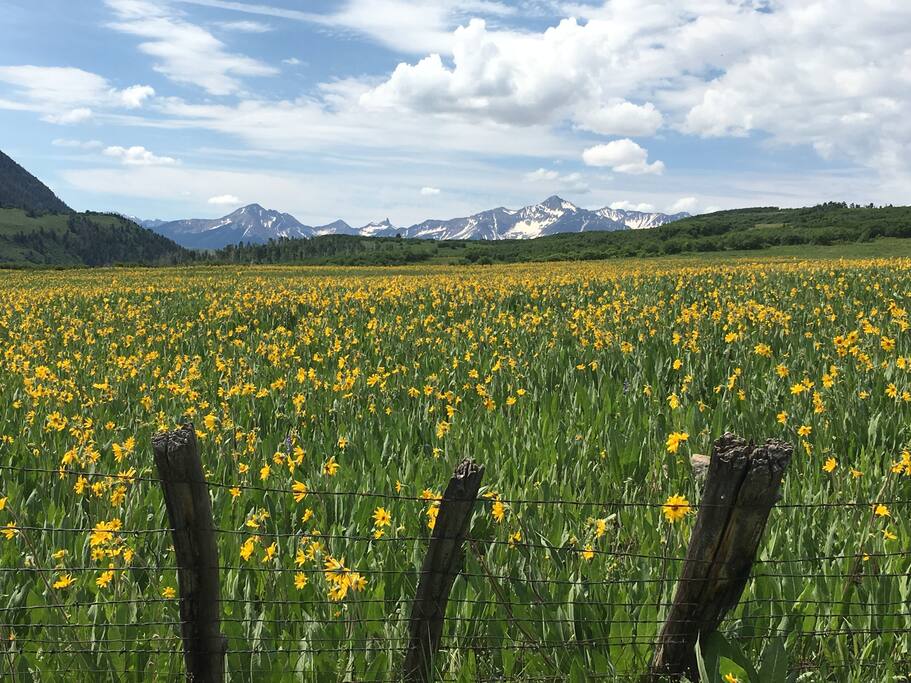 Southern Views of the 14,000' Wilson Range and Lizard Head Peak