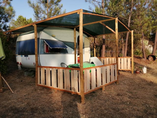 Caravane en pleine nature