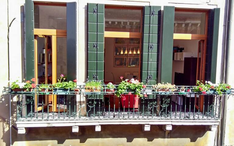 Best Find in Venice gallery image 3