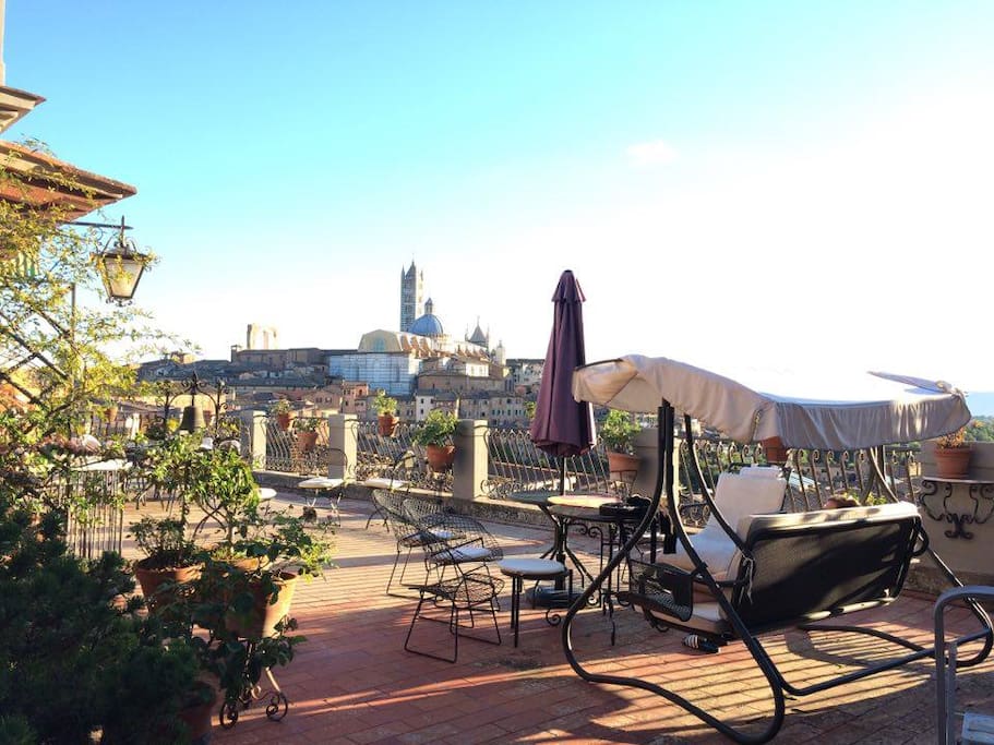 Our terrace