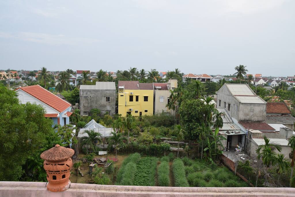 garden view