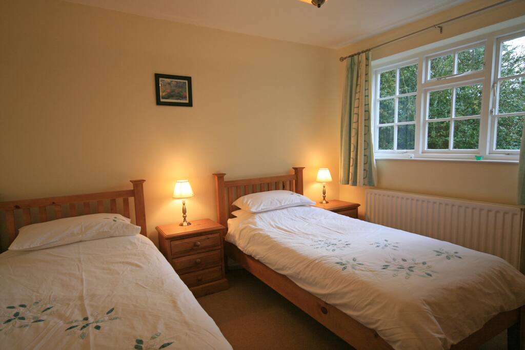 Downstairs twin bedroom