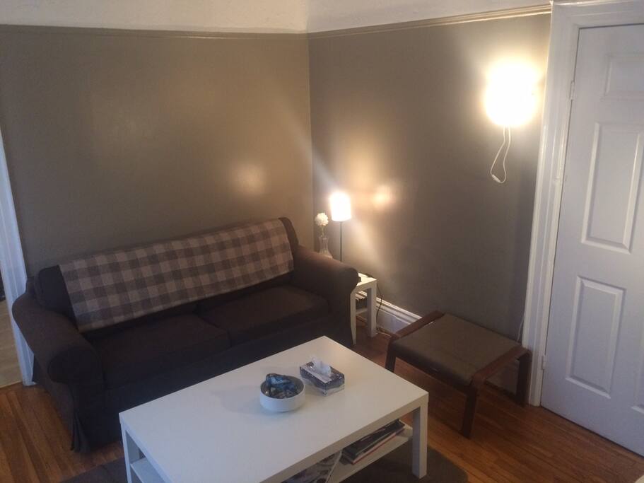 this is the sofa bed -pulls out to a full size mattress (linens and duvet provided)