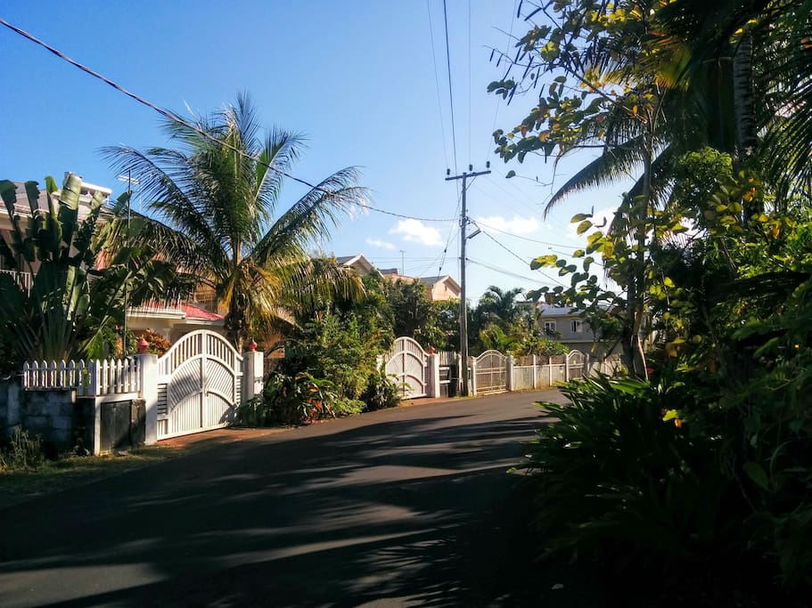 Our neighborhood
