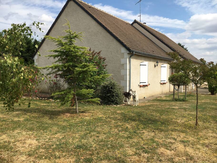 Devant la maison, jardin arboré