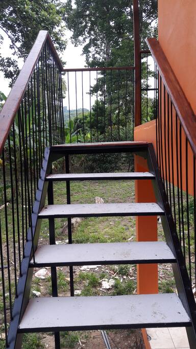 the stairs