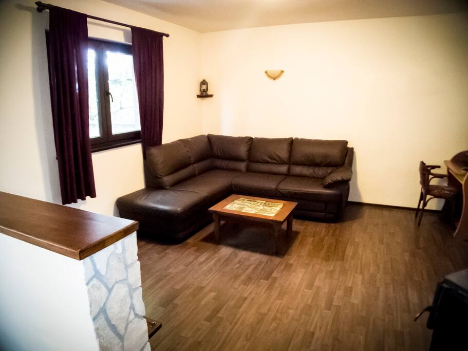 The living room (the couch can be turned into a bed for 2)
