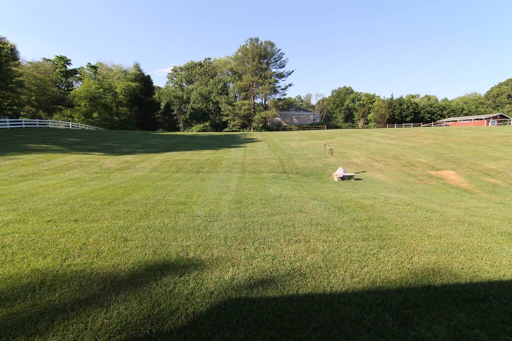 Backyard view from veranda