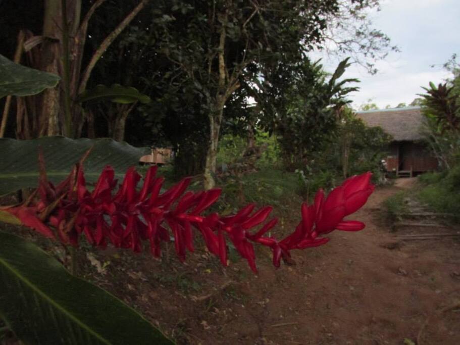 Entrada de la casa
