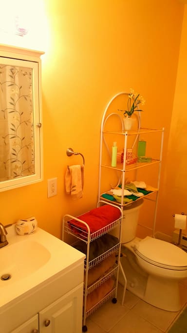 Bathrooms are fully stocked with beautiful accessories.