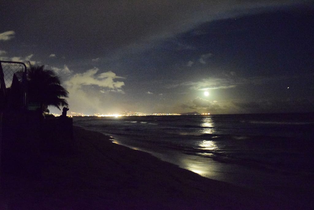 Moonlight over the beach