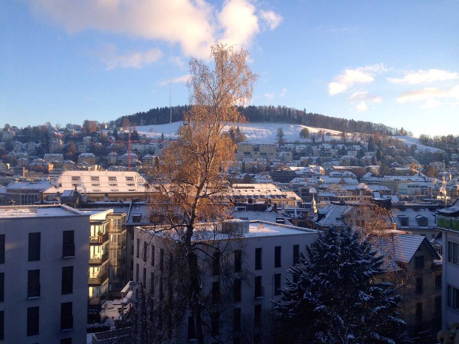 view in winter