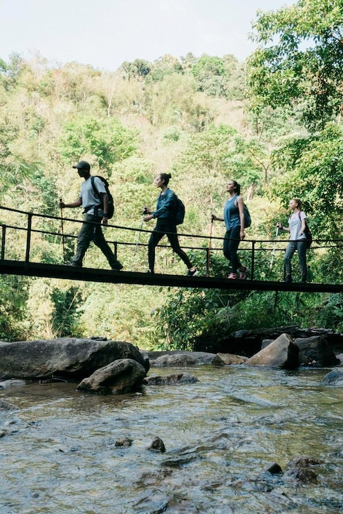 Show full-screen, host-provided image