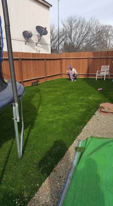 Our always green yard!