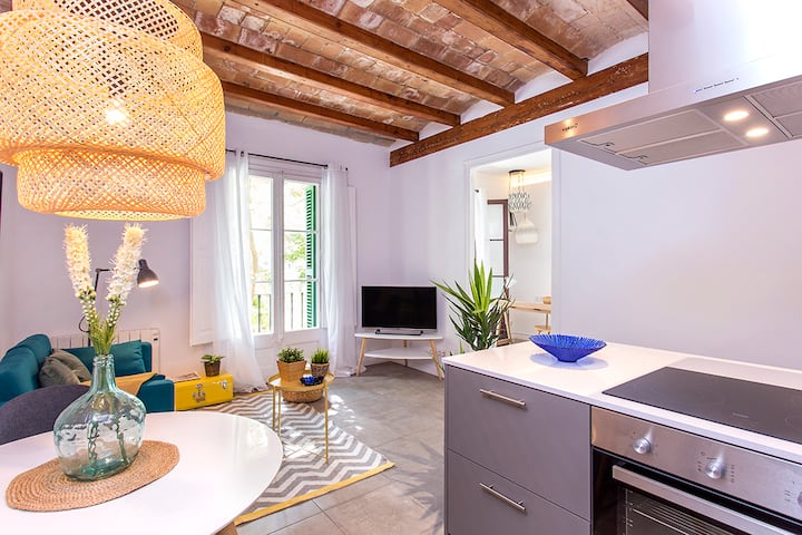Delightful 2 Bedroom Apartment - Barcelona