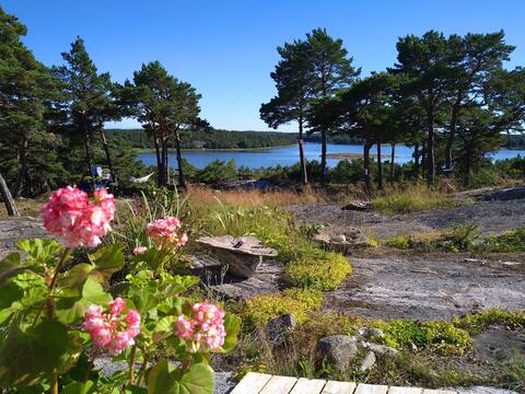 Rent our summer paradise on Rävö at the Koster Sea National Park, among pine peaks overlooking the s