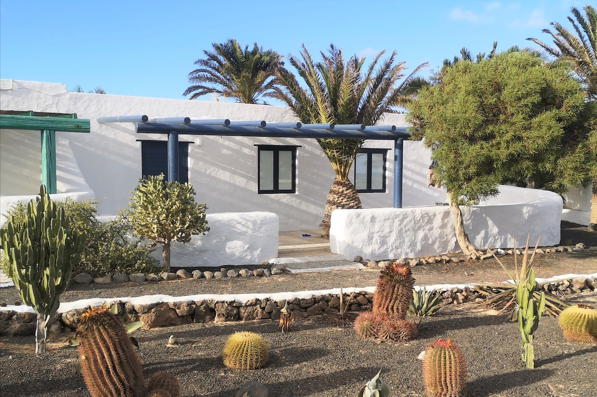 The exterior of the house showcases a whitewashed facade complemented by green and blue accents. Lush palm trees and cacti are visible in the foreground, adding to the natural landscape. A covered porch with a rocking chair invites relaxation in the shaded area.