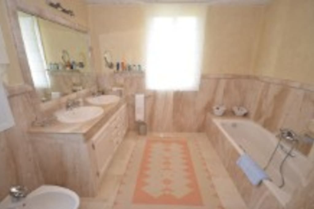Cuarto de baño con bañera y ducha.Vistas al jardin