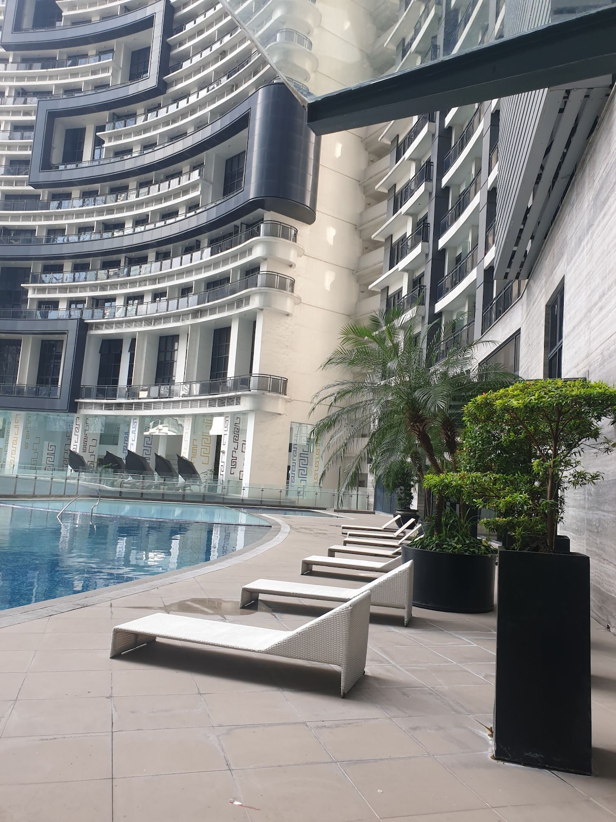 An outdoor area showcases a shimmering pool framed by modern architecture. Several lounge chairs are positioned along the poolside, providing a relaxing spot. Verdant plants are placed in stylish pots, adding a refreshing touch to the serene environment.