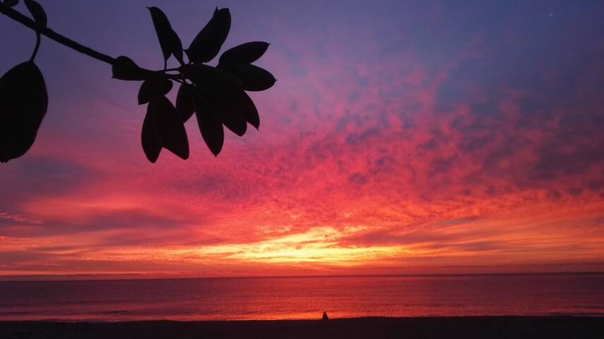 Disney Club De Platja Villa 1 Habitacio