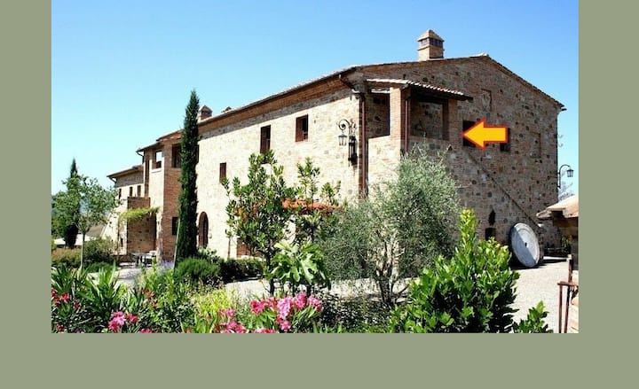 Agriturismo Podere Cunina Near Montalcino - Pinus - Montalcino