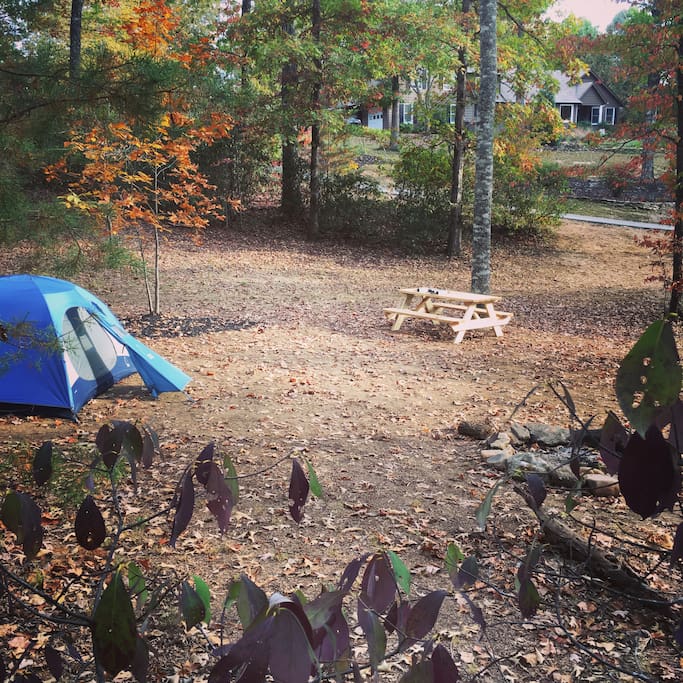 The main site has room for 3-4 tents and 3-4 hammocks.
