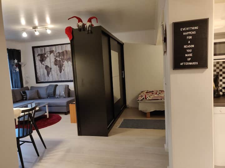 Entire Studio 15 Minutes To City Center - Helsinki