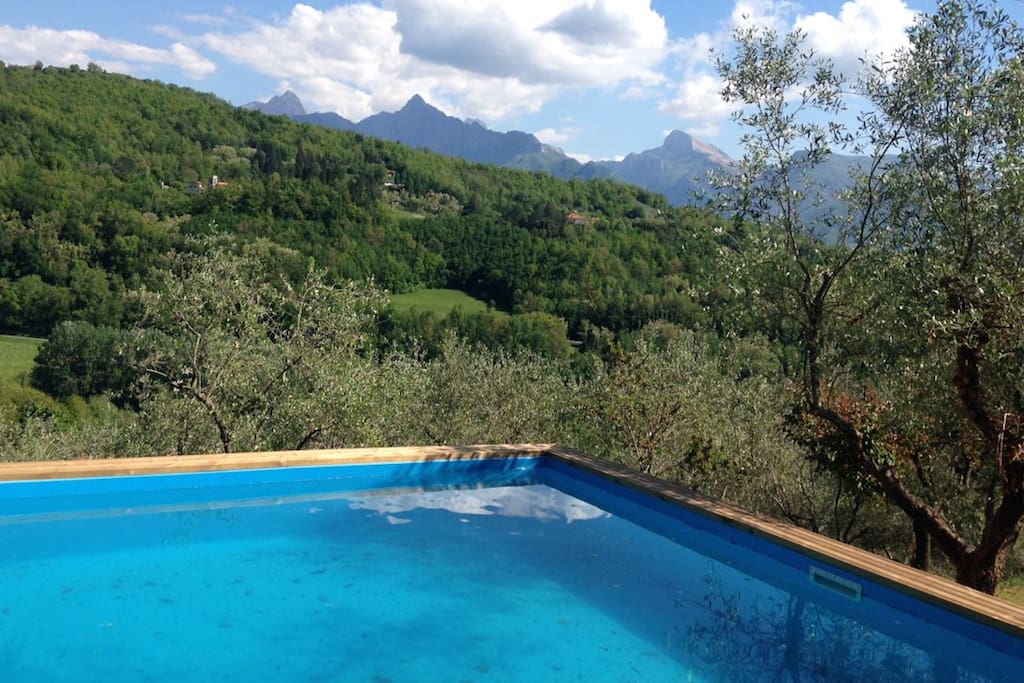 Brand new pool