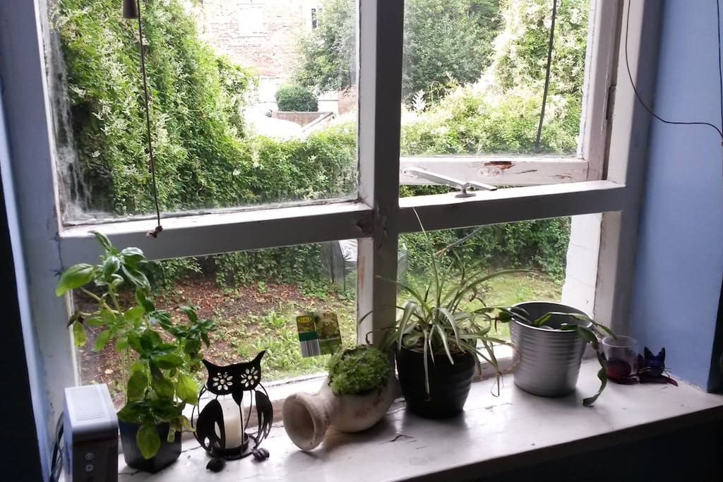 Kitchen window, with views to the garden and River Quaggy