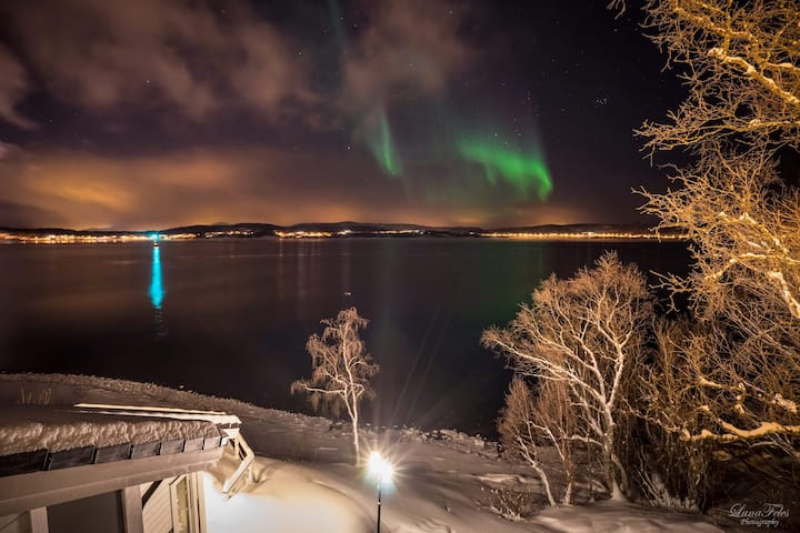 lenvik single